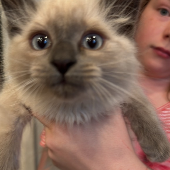 Meet your Posher, Margaret C - Picture 8 of 8